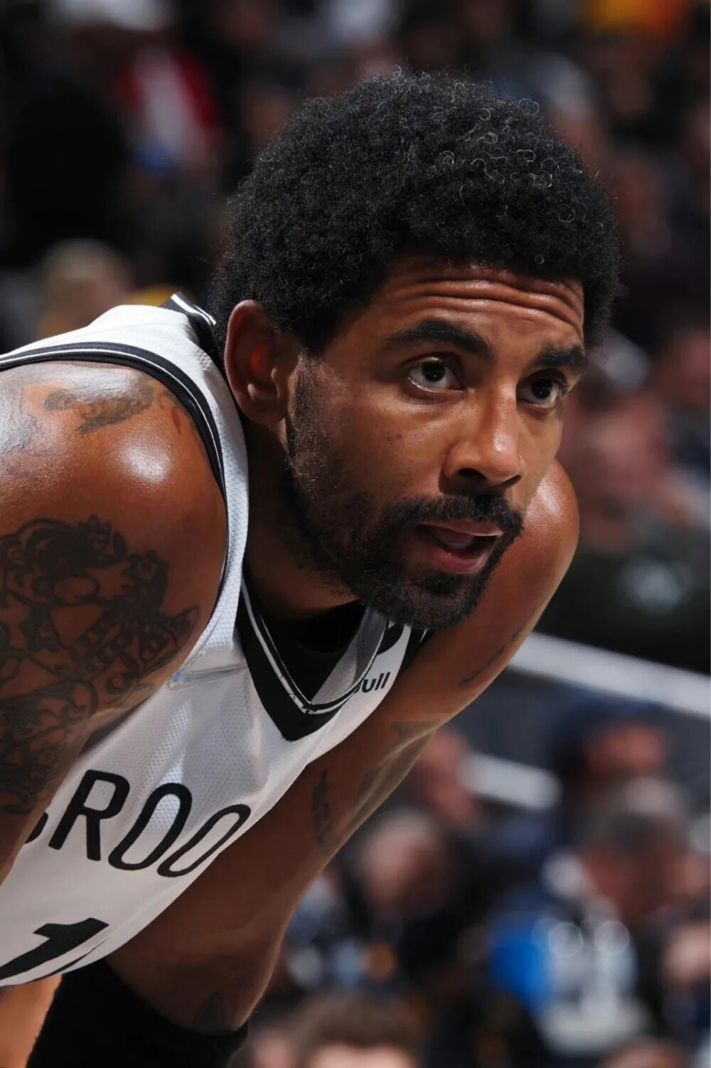 的理由下 的理由下